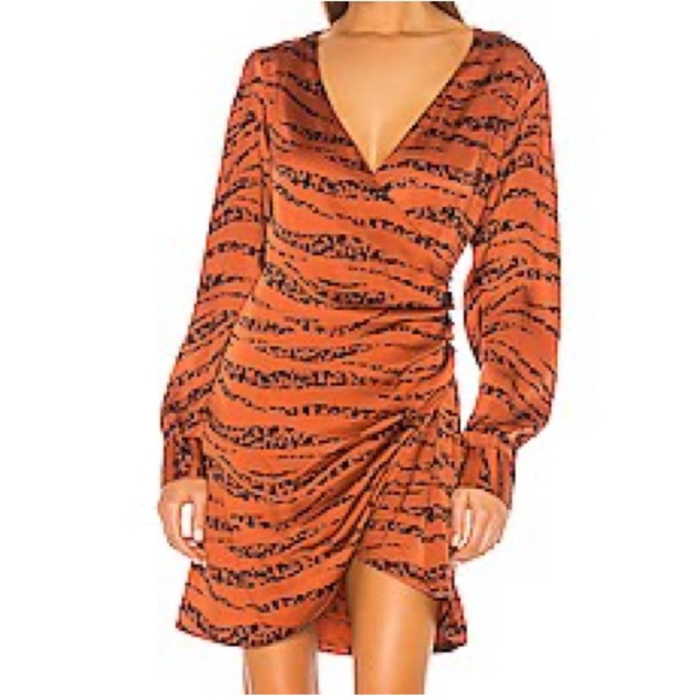 Anine Bing Penelope 100% Silk Long Sleeve Zebra Stripe Faux Wrap Dress Sz Medium